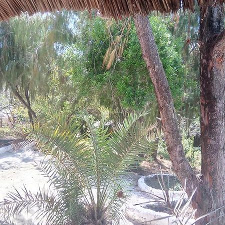 Twisted Palms Lodge & Restaurant ブウェワウ エクステリア 写真