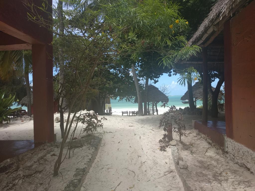 Twisted Palms Lodge & Restaurant ブウェワウ エクステリア 写真