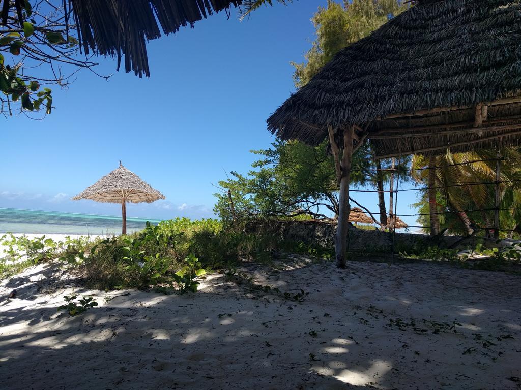 Twisted Palms Lodge & Restaurant ブウェワウ エクステリア 写真