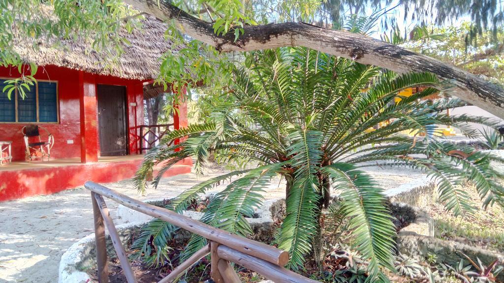 Twisted Palms Lodge & Restaurant ブウェワウ エクステリア 写真